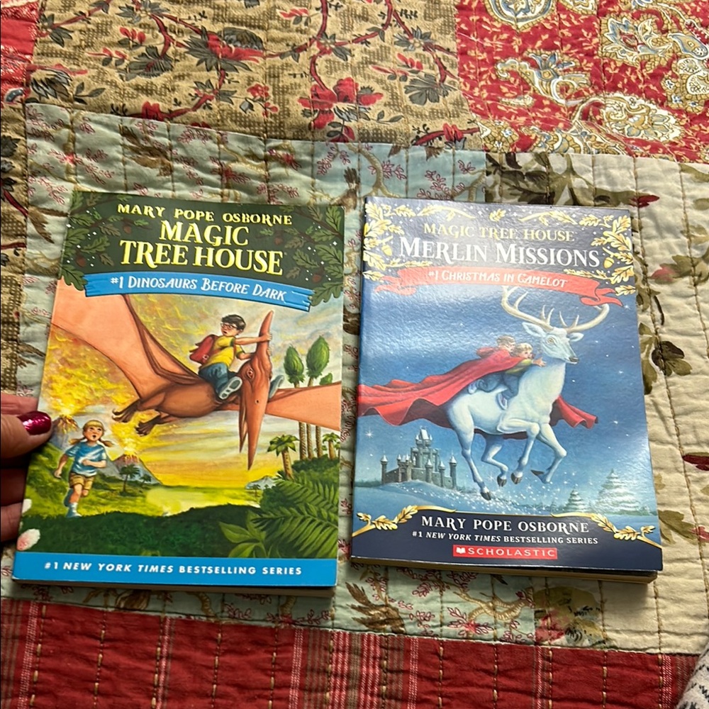Magic Tree House Book Set - Picture 10 of 10